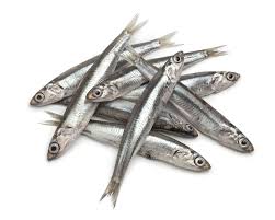 anchovies